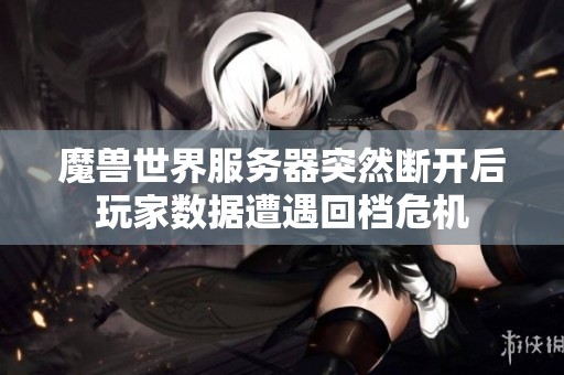 魔兽世界服务器突然断开后玩家数据遭遇回档危机
