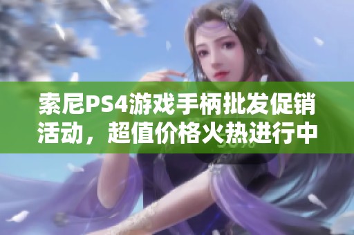 索尼PS4游戏手柄批发促销活动，超值价格火热进行中
