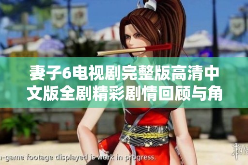 妻子6电视剧完整版高清中文版全剧精彩剧情回顾与角色分析