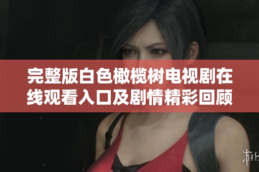 完整版白色橄榄树电视剧在线观看入口及剧情精彩回顾分享