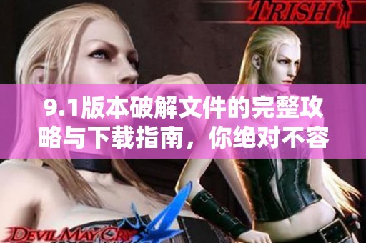9.1版本破解文件的完整攻略与下载指南，你绝对不容错过