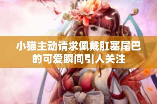 小猫主动请求佩戴肛塞尾巴的可爱瞬间引人关注
