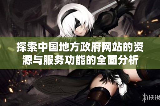 探索中国地方政府网站的资源与服务功能的全面分析