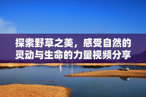 探索野草之美，感受自然的灵动与生命的力量视频分享