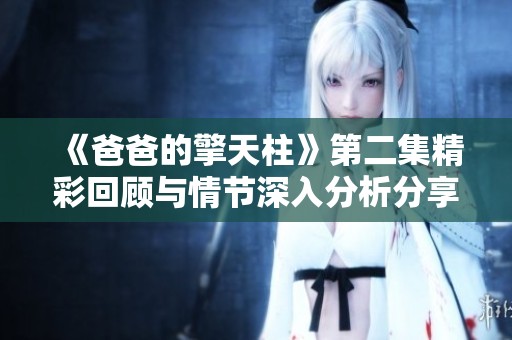《爸爸的擎天柱》第二集精彩回顾与情节深入分析分享
