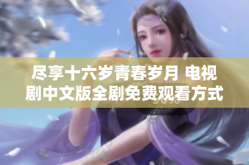 尽享十六岁青春岁月 电视剧中文版全剧免费观看方式揭秘