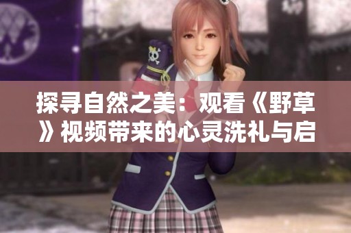探寻自然之美：观看《野草》视频带来的心灵洗礼与启发