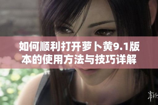 如何顺利打开萝卜黄9.1版本的使用方法与技巧详解