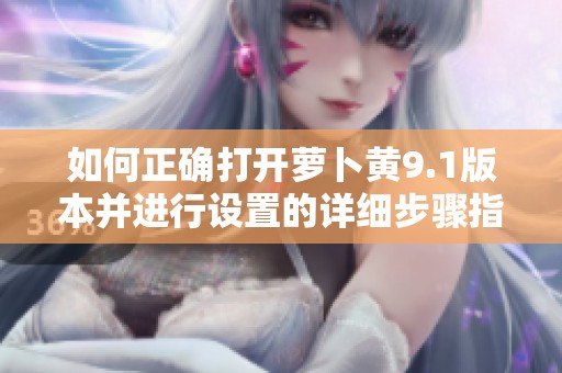 如何正确打开萝卜黄9.1版本并进行设置的详细步骤指南