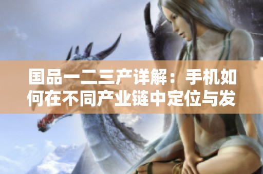 国品一二三产详解：手机如何在不同产业链中定位与发展