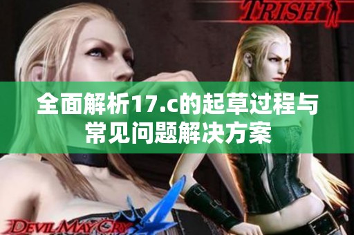 全面解析17.c的起草过程与常见问题解决方案