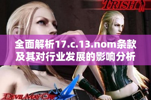 全面解析17.c.13.nom条款及其对行业发展的影响分析