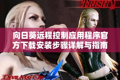 向日葵远程控制应用程序官方下载安装步骤详解与指南