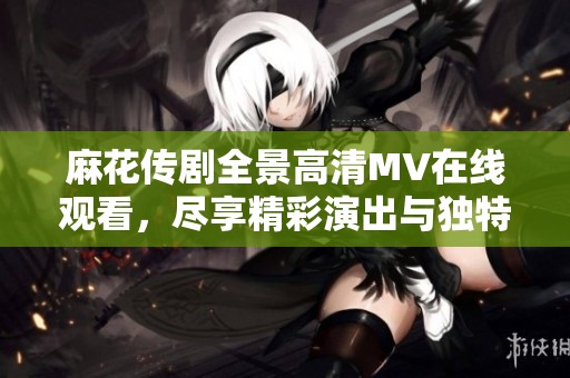 麻花传剧全景高清MV在线观看，尽享精彩演出与独特魅力